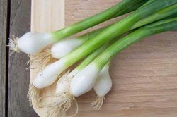 Mẹo nhỏ bảo quản hành lá tươi mà không sợ hỏng