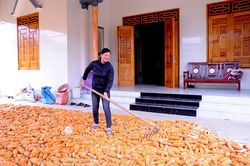 Sức sống mới ở Đèo Ảng