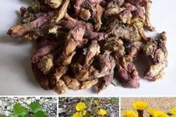 Dưỡng phế hỗ trợ trị viêm thanh quản