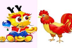 Cặp đôi tương sinh tương hợp, lấy nhau giàu sang khó ai bì