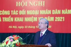 Đổi mới nội dung, phương thức, hiệu quả hoạt động đối ngoại nhân dân