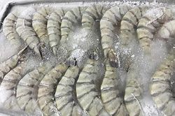 Tôm đông lạnh trong siêu thị có lớp đá dày nhằm tăng cân nặng? Sự thật lại quá bất ngờ!