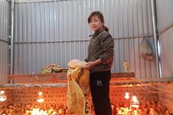 Làm kinh tế giỏi để làm tốt công tác hội