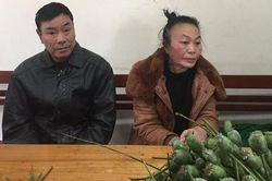 Tạm giữ cặp đôi mang 18kg quả thuốc phiện tươi đi tiêu thụ