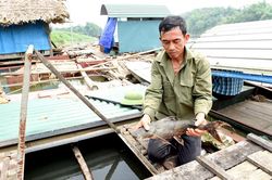 Tuyên Quang: Nuôi nhốt những con cá đặc sản râu dài trước ví như 'loài thủy quái' tinh ranh, dân trở nên giàu có