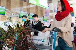 Quy định vận chuyển mai đào bằng đường hàng không dịp Tết