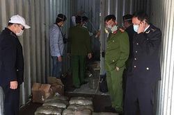 Bắt giữ khối lượng 'khủng' cần sa giấu trong container theo đường biển vào Hải Phòng