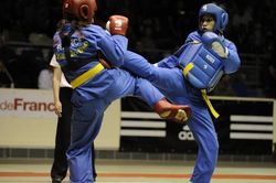 Chủ tịch WVVF chúc mừng Giáng sinh, năm mới môn đồ Vovinam toàn thế giới