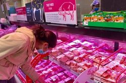 Giá heo hơi hôm nay 24/12: Hà Nội cao nhất cả nước, heo hơi có thể tăng vượt ngưỡng 100.000 đồng/kg?