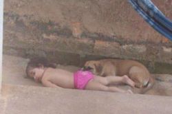 Bố mẹ 'đứng hình' khi chứng kiến con gái nhỏ làm việc này với bầy chó