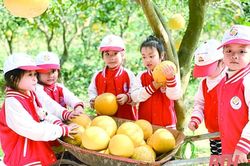 Hiệu quả từ những mô hình nông nghiệp gắn với du lịch cộng đồng