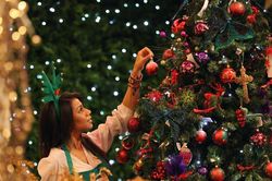 Bạn có biết sự ra đời của cây thông Noel?