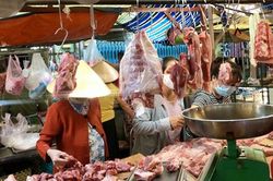 Giá heo hơi hôm nay 25/12: Tiếp đà tăng, 'thủ phủ' chăn nuôi heo miền Bắc vẫn giao dịch cao nhất cả nước