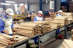 Các vụ kiện phòng vệ thương mại gia tăng sẽ 'gây khó' cho ngành gỗ Việt Nam