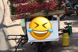 Ông chú bán trái cây khiến người mua 'dở khóc dở cười' với cách Việt hóa cực bá đạo