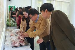 Đánh giá mô hình thí điểm chuỗi cung ứng thực phẩm an toàn