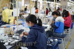 Đề xuất làm thử nghiệm hoàn thiện quy trình thiết kế mẫu phom giầy