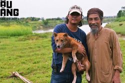 Nghệ sĩ Viết Liên tiết lộ về vai Lão Hạc