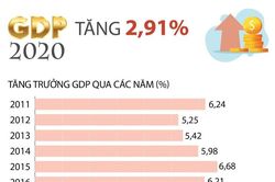 GDP năm 2020 tăng 2,91%