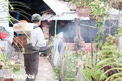 Dịch bệnh sốt xuất huyết, tay chân miệng giảm mạnh so với năm 2019