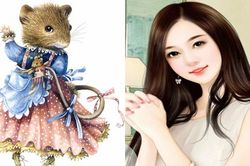 Dự đoán ngày mới 29/12/2020 cho 12 con giáp: Mão, Tuất may mắn về tiền bạc