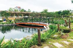 Biến đầm lầy thành khu du lịch sinh thái hiện đại