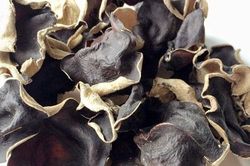 Nấm mèo: Vị thuốc chữa bệnh tuyệt vời