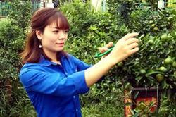 Trồng cây cảnh thu nhập cao