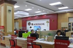 Agribank bán hàng trăm m2 đất của hãng dược ANPHACO để thu hồi nợ