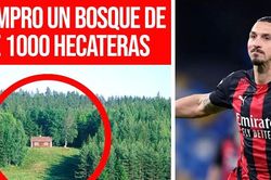 Ibra mua nguyên một khu rừng ở Thụy Điển