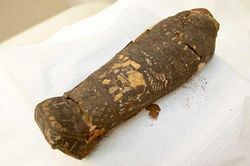 Tưởng là xác chim, ngỡ ngàng phát hiện chính là xác ướp người