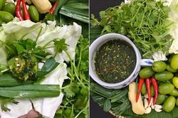 Nhót xanh chấm chẩm chéo - món ăn 'thần thánh' nhưng không phải ai cũng nên ăn?