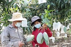 Sở hữu trí tuệ với doanh nghiệp nhỏ và vừa - Mang ý tưởng đến với thị trường