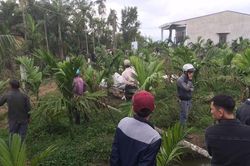 Kinh hoàng nghịch tử sát hại mẹ dã man lúc rạng sáng