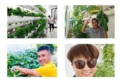 Ngắm vườn rau xanh tốt trong nhà sao Việt
