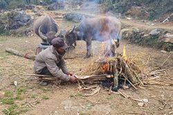 Hà Giang rét tê tái, người dân nổi lửa sưởi ấm cho gia súc