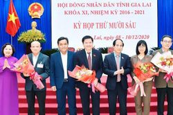 Phê chuẩn kết quả bầu bổ sung Phó Chủ tịch UBND tỉnh Gia Lai đối với bà Nguyễn Thị Thanh Lịch