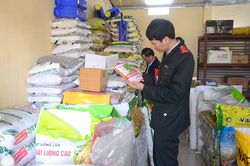 Quản lý sản xuất, kinh doanh, thử nghiệm giống vụ xuân