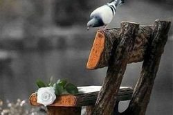 TỪNG PHÚT CHẾT TRÊN MÔI ĐỜI HỜ HỮNG