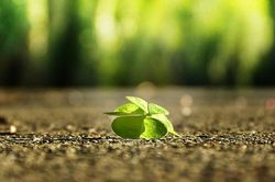 Thay đổi bản thân không khó nếu biết bỏ 4 điều đơn giản này