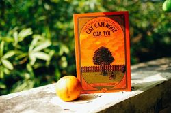 Bài học lớn từ cậu bé nghèo