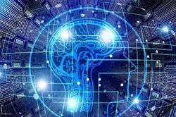 Tiến hóa thành người Homo cyber