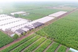 Bình Dương: Dự án nông nghiệp công nghệ cao được vay ưu đãi 70% vốn đầu tư trong 8 năm