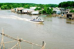 Đất Mũi bừng thức
