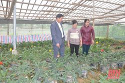Trung tâm Hỗ trợ nông dân tỉnh làm tốt công tác dạy nghề, hỗ trợ nông dân