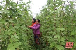 Đảng bộ huyện Ngọc Lặc phát huy vai trò lãnh đạo trong công tác giảm nghèo