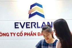 Cổ phiếu EVG tăng trần 3 phiên liên tiếp