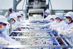 Tổng sản lượng thủy sản năm 2020 ước đạt hơn 8,4 triệu tấn