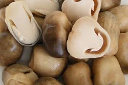 4 cách bảo quản nấm rơm được lâu ngày