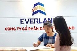 Cổ phiếu của Tập đoàn Everland tăng 24% trong tuần qua